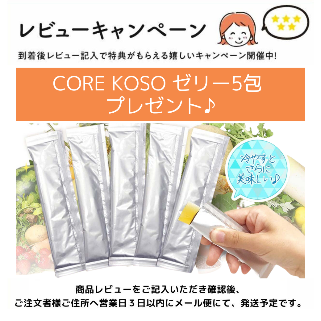 CORE KOSO Recovery mini