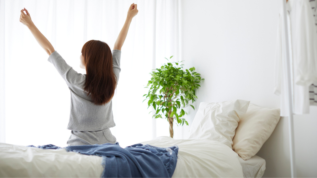 3ヶ月で細胞は生まれ変わる？春に向けて今から始める「内側磨き」