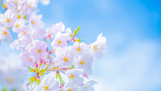 忙しい新生活の準備期に。朝の「1杯の習慣」が1日の集中力と笑顔を作る