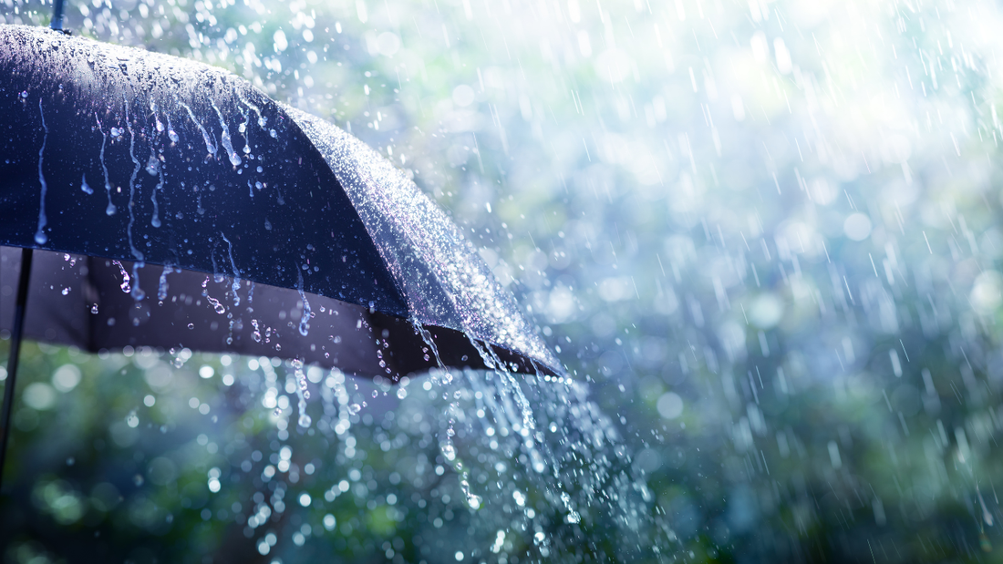 梅雨の体のだるさに。栄養を「足す」より先にすべきこと
