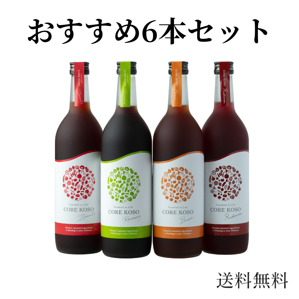 【次回使えるクーポン付！】 CORE KOSO シリーズ 1ケース（6本セット）